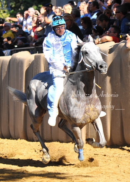 CavalloCattedrale SfilataCorsaPalio2016-1616
