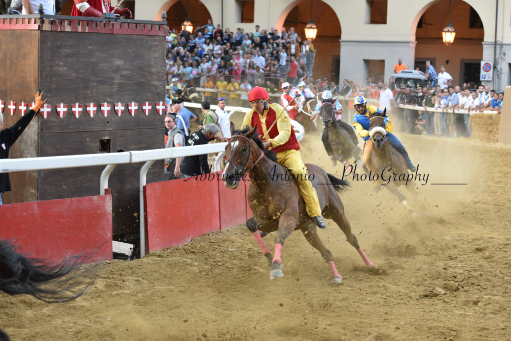 CavalloCattedrale SfilataCorsaPalio2016-1238