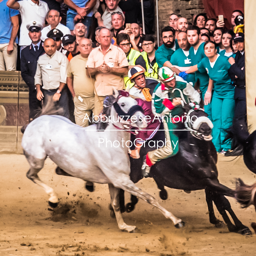 Palio Straordinario di Siena, vince la Tartuca